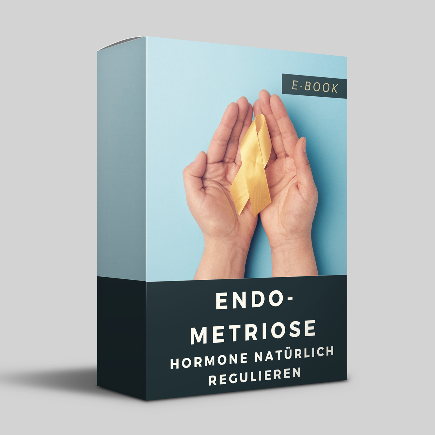 E-Book - Endometriose